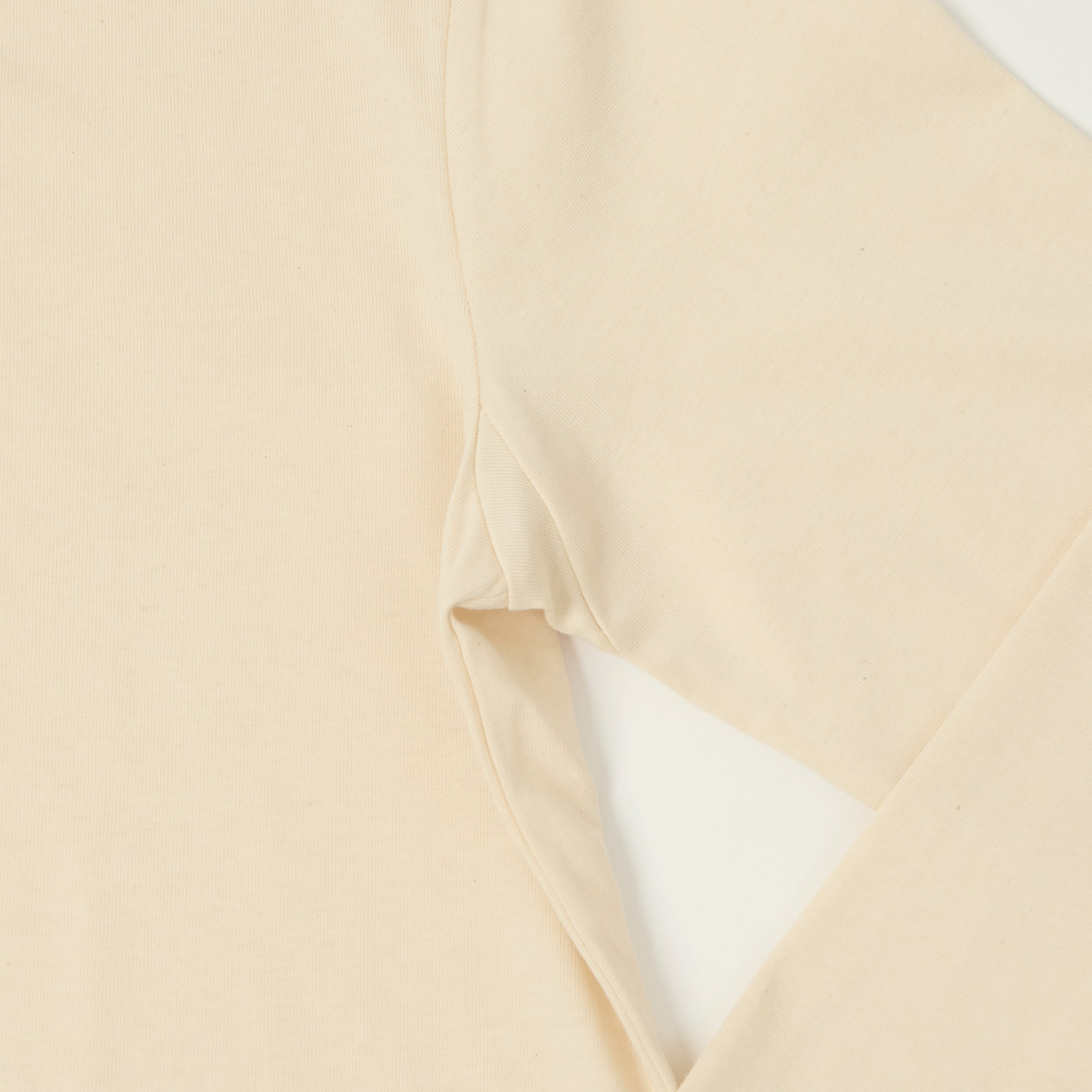 Merz b. Schwanen 2M06 Classic Long Sleeve Henley - Nature