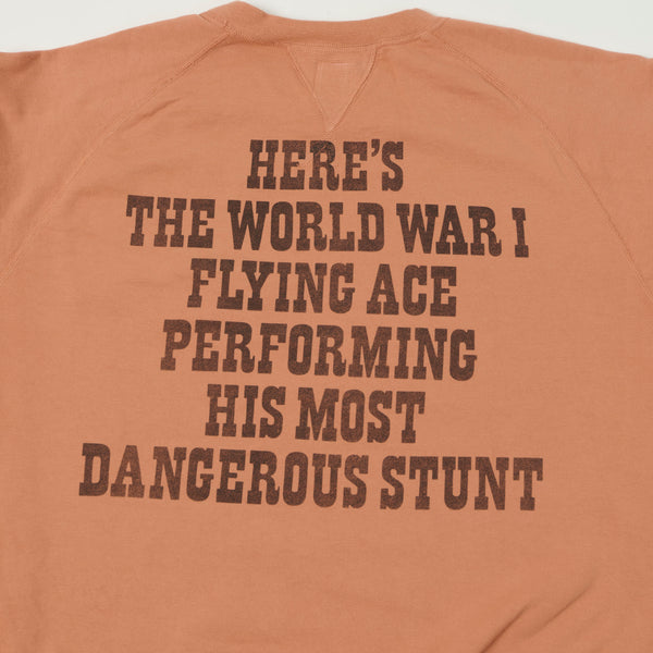 TOYS McCOY Snoopy 'Flying Ace USAF' Sweatshirt - Carrot