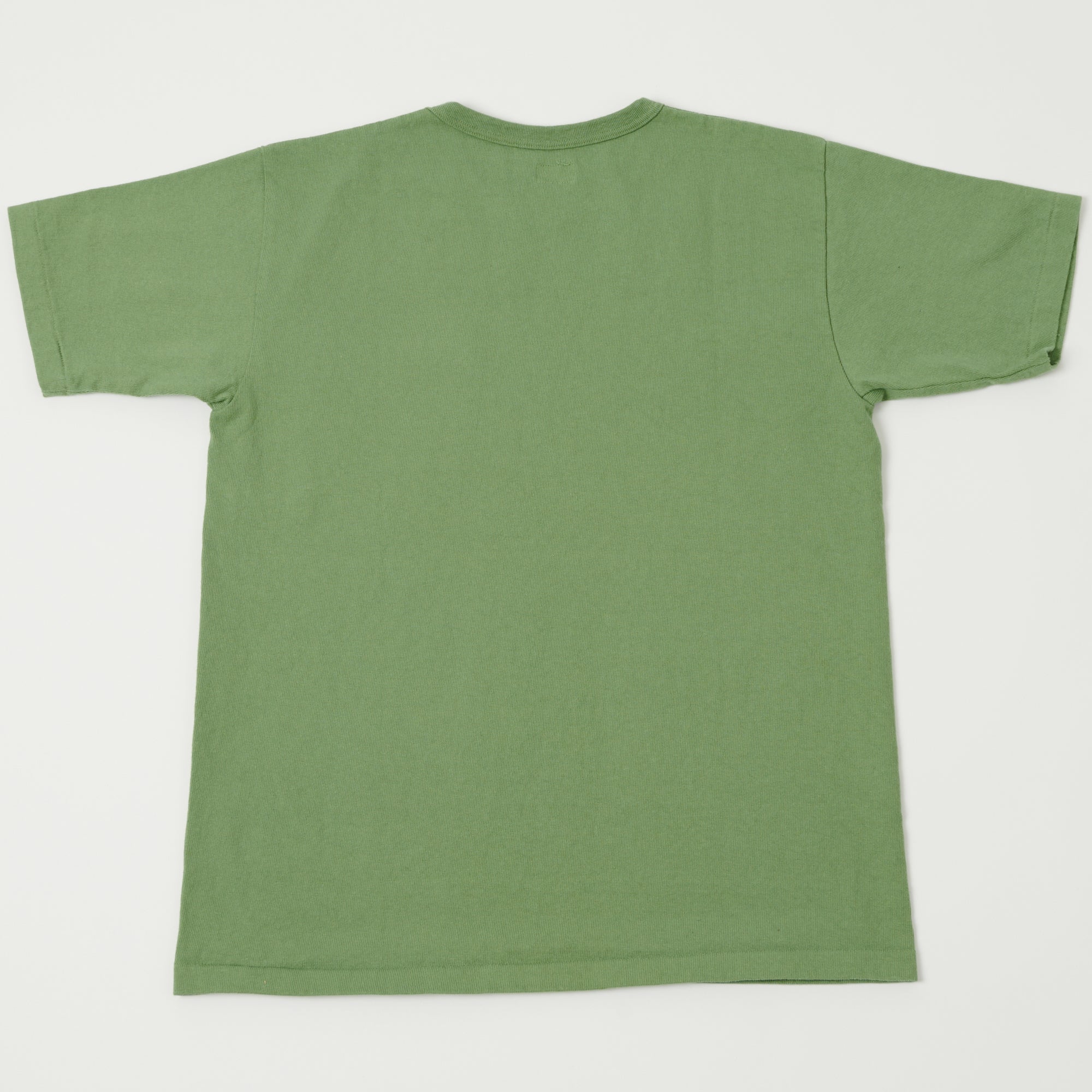 Dubbleworks Heavy Fabric Tee - Tea Green